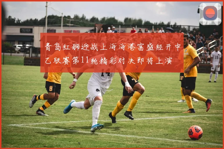 青岛红狮迎战上海海港富盛经开中乙联赛第11轮精彩对决即将上演